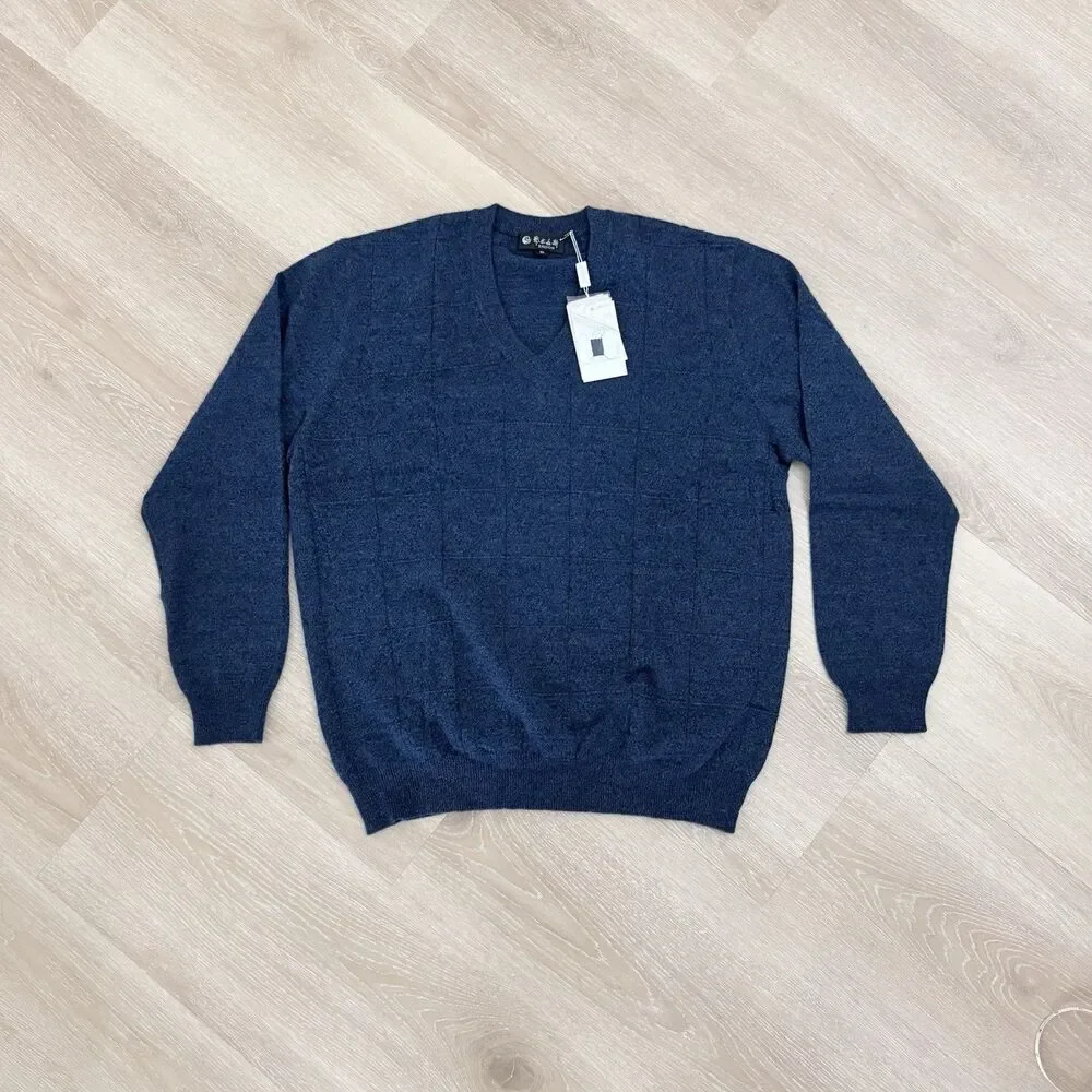 NWT Cashmere Tech V-Neck Sweater Windowpane Blue Men's L XL ERDOS Grandpa Preppy